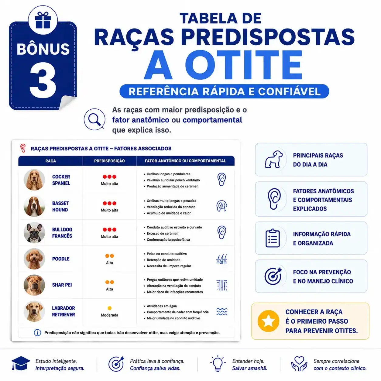 Bônus 3